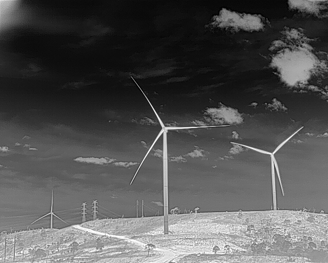 Black and White Aerial Thermal Image of Wind Farm