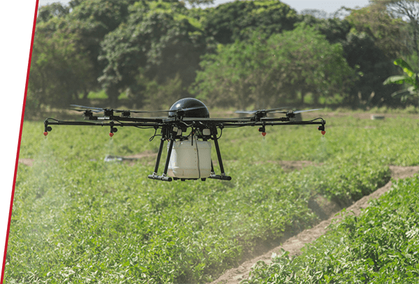 Agriculture Drone spraying field during the day