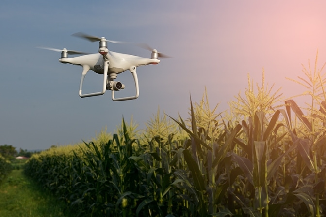 white drone flying over a wheat field