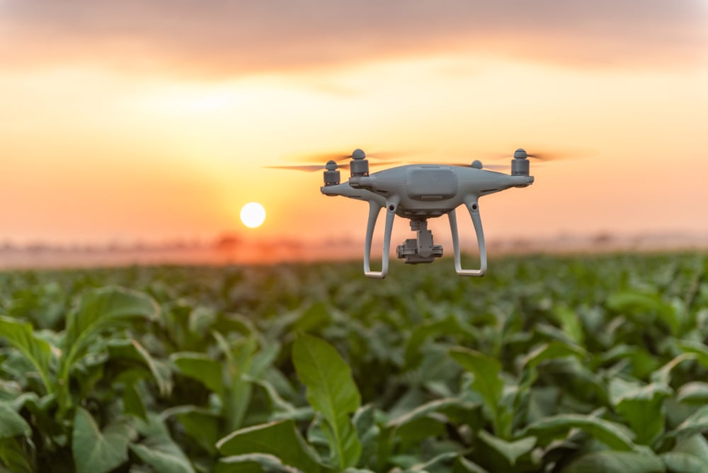 Surveillance Drone flying over crop field at sunset